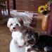 Heidi Jacobi - Facebook