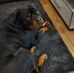 Heidi Jaeger - Facebook