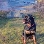 Heidi Jaeger - @jaegerheidi444 - Instagram