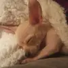 heidijaeger2 - @heidijaeger2 - TikTok