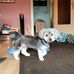 Heidi Jasper - Facebook