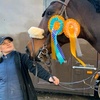 Heidi Keen - @cornwallequestrian - TikTok