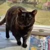 Heidi Kogler - @heidikogler - TikTok