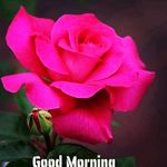 anbe sivam - @heidi_key_23 - Instagram