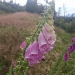 Heidi Kraus - @heidi.kraus.948 - Instagram