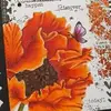 Heidi Kunkel962 - @heiku962 - TikTok