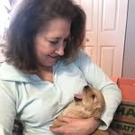 Heidi Lentz Warren - @agilitydogz1 - Instagram
