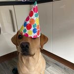 Heidi Logan - @1heidi.logan1 - Instagram