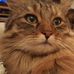 Heidi MacLean - Facebook