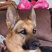 Heidi Mansfield - Facebook