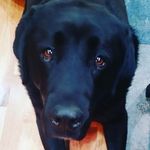 Heidi Marek Bosch - @haboscherie - Instagram