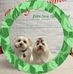 Heidi and Marley - Facebook