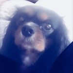 @marley_heidi_22 - Instagram