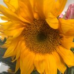 Heidi Marquez - @perseverance_n_love - Instagram
