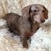 Heidi Mauldin - Facebook