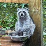Heidi McCall - @heidi_k8 - Instagram