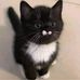 Heidi McCall Dozier - Facebook