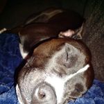 Heidi Spedowski McCann - @hyperheidi12171970 - Instagram