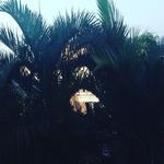 Heidi_mcclure - @heidi_mcclure06 - Instagram
