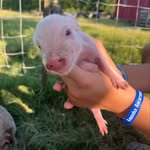 Heidi McCormack - @anotherfn_farmpage - Instagram