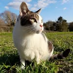 Heidi McCormack - @pimmsmom - Instagram