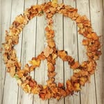 Heidi McElroy - @happimess1 - Instagram