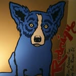 Heidi McKellar - @palliative_pups_ - Instagram