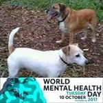 Heide Mcmanus - @heidemcmanus - Instagram