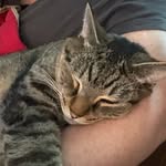 Heidi McManus Nangle - @htambo5 - Instagram