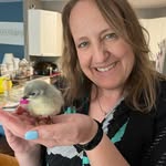 Heidi McNeely - @mcneely_heidi - Instagram