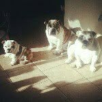 Heidi McNeely Guajardo - @waacmacead6160 - Instagram