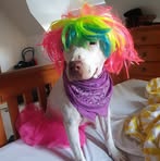 Heidi Mcnulty - Facebook