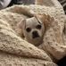Heidi-Sue Mcnulty - Facebook
