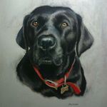 Heidi Meadows - @heidimeadowsportraitartist - Instagram