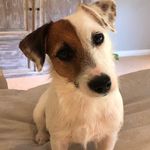 Heidi Melton Seinsheimer - @hseinsheimer - Instagram
