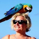 Heidi Swartz Melton - @heidiswartzmelton - Instagram