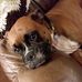 Heidi Melvin - Facebook