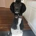 Heidi Menard - Facebook