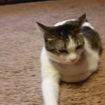 heidimillar - @heidimillar7739 - Instagram