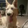 Markus’s mom - @heidimilliken - TikTok