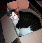 Heidi Jean Milton - Facebook