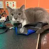 heidijeanmilton - @heidijeanmilton - TikTok