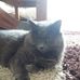 Hiedi Middle - Facebook
