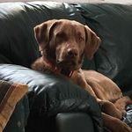 Heidi Mullen - @heidi.mullen.7 - Instagram