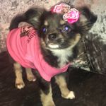 Heidi Pink Mullen - @heidipinkmullen - Instagram