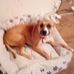 Heidi Neil - Facebook