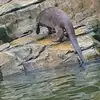 heidineil - @heidineil - TikTok