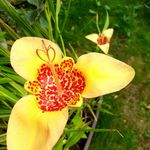 Heidi Ness Eschmann - @heidinesseschmann - Instagram
