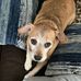 Heidi Nicholson - Facebook