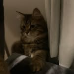 Heidi - @heidi__noble - Instagram
